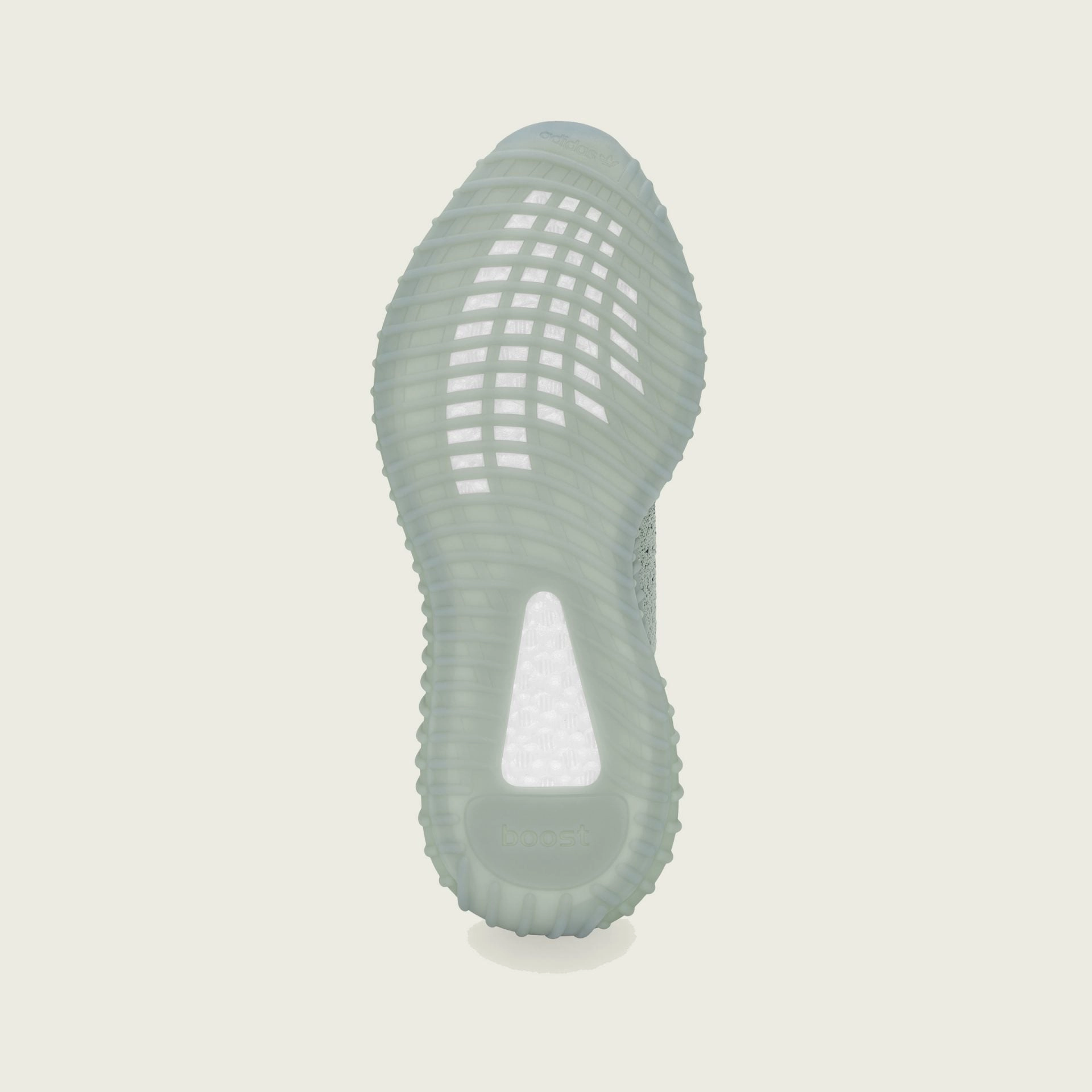 Adidas | YEEZY BOOST 350 V2  { SALT/CORE BLACK/SALT