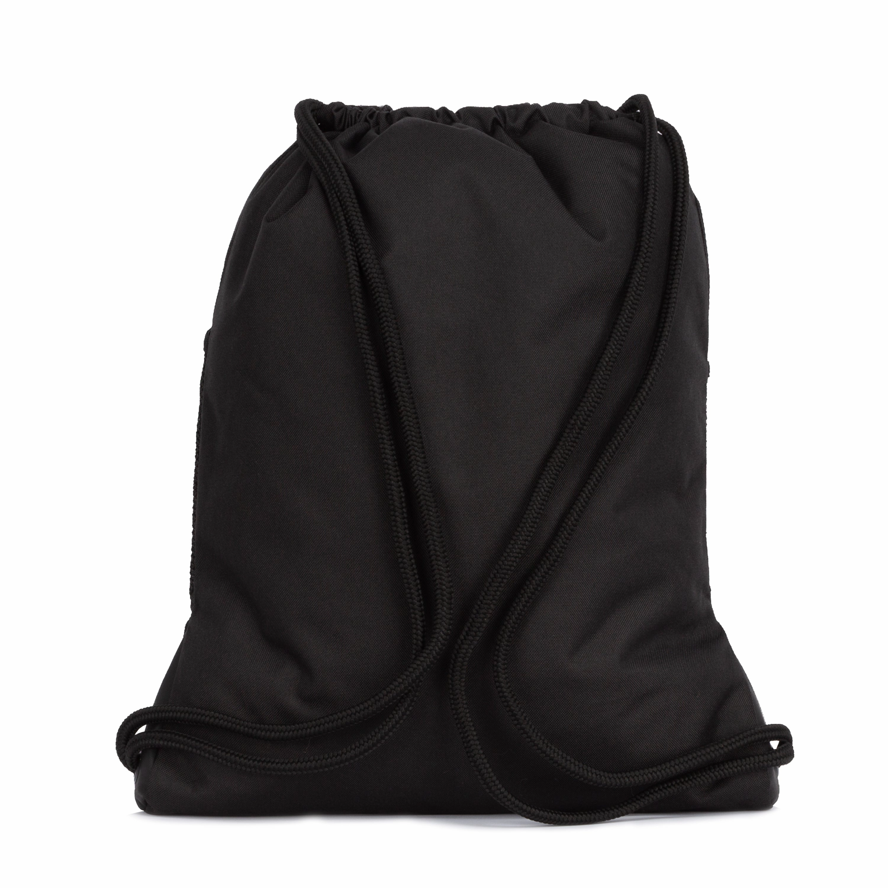 Alliance II Sackpack